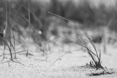 Oberstdorf Lichtriesen-Al-2