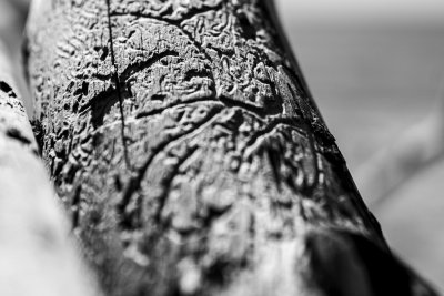 Oberstdorf Lichtriesen-Al-4