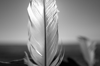 Oberstdorf Lichtriesen-Al-5