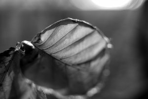 Oberstdorf Lichtriesen-Al-6