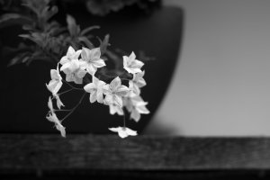 SB-SW-HC-OBERSTDORF-01