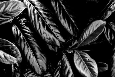 SB-SW-HC-OBERSTDORF-03