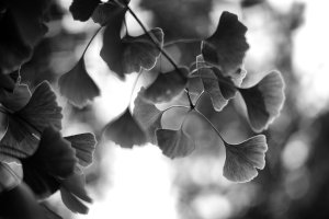 SB-SW-HC-OBERSTDORF-05