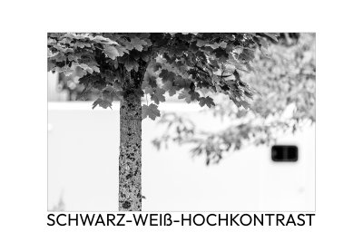 SB-SW-HC-OBERSTDORF-08