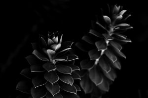 SB-SW-HC-OBERSTDORF-10