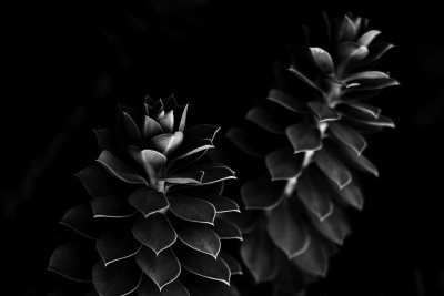 SB-SW-HC-OBERSTDORF-10