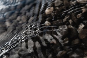 SB-Fotogipfel-Such-das-Motiv-3