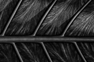 © Shari Reiling/ Leica Akademie