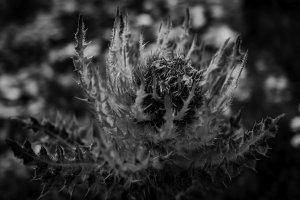 © Shari Reiling/ Leica Akademie