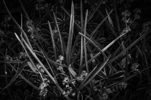 © Shari Reiling/ Leica Akademie