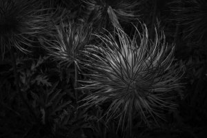 © Shari Reiling/ Leica Akademie