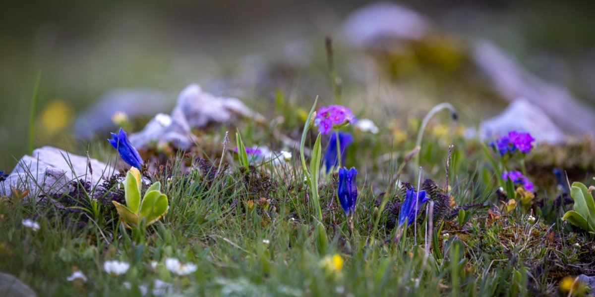 © André Straub Grundlagen Workshop