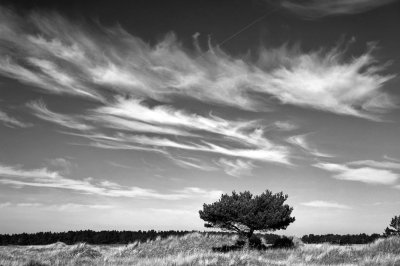 Workshop Landschaft SW