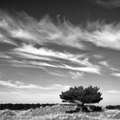 © Eric Scheuermann Workshop Landschaft SW