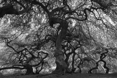 Workshop Landschaft SW