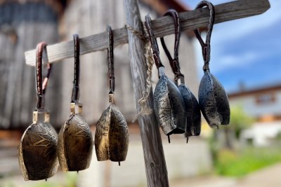 Workshop fotografische Haltung