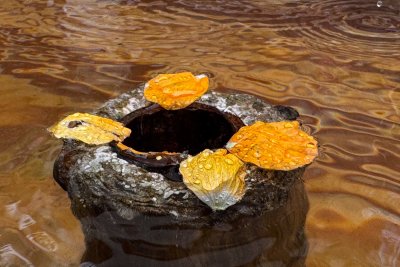 Workshop fotografische Haltung