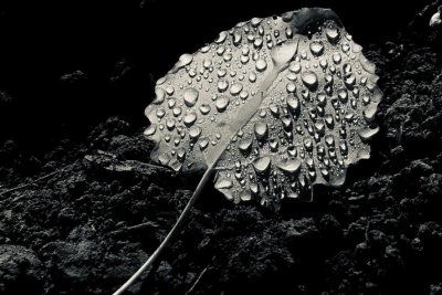 Workshop Kreative Fotografie