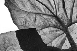 Workshop Kreative Fotografie