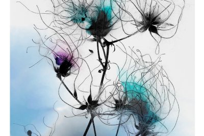 Workshop wünstlerische Effekte