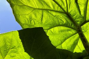 Workshop Kreative Fotografie