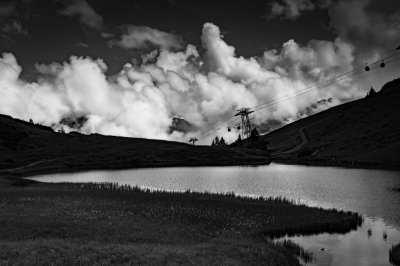 Naturfotografie Fellhorn / Schlappoldsee