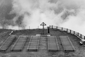 Naturfotografie Fellhorn / Schlappoldsee