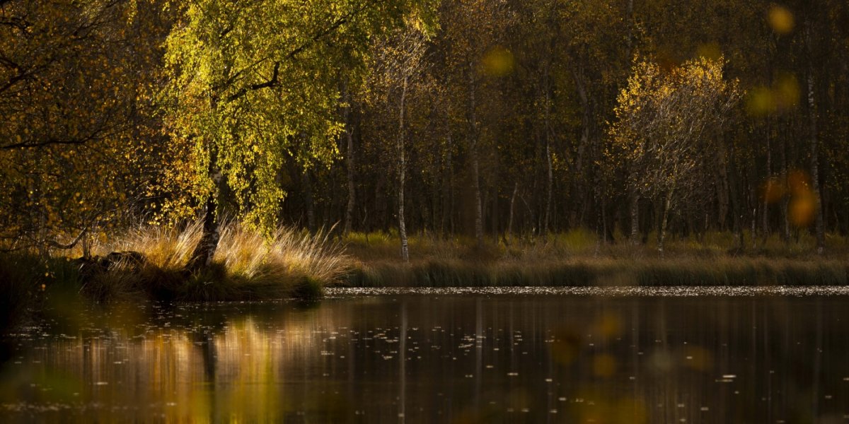 Workshop Christlessee