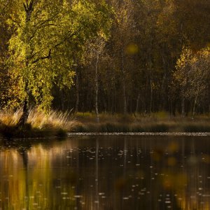 Workshop Christlessee