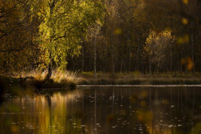 Workshop Christlessee