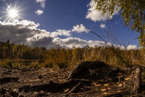 Workshop Christlessee