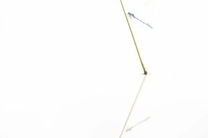 Workshop Christlessee