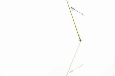 Workshop Christlessee