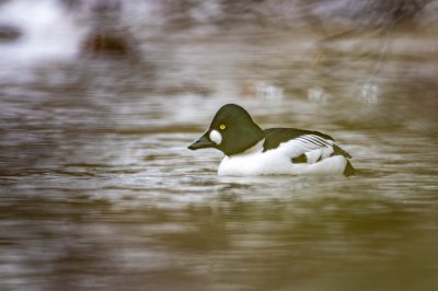 Workshop Christlessee