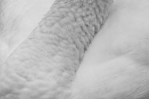 Workshop Christlessee