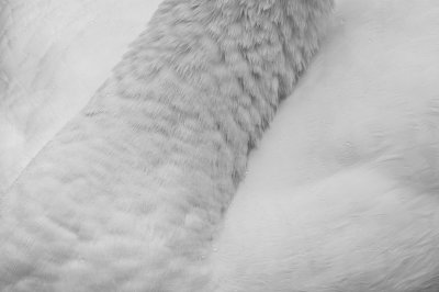 Workshop Christlessee