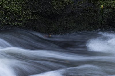 Workshop Breitachklamm