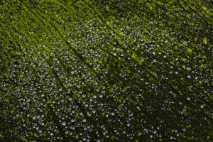 Workshop Breitachklamm