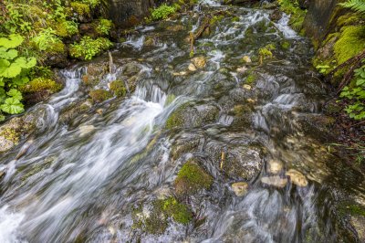 Workshop Abenteuer Allgäu - Faltenbachtobel