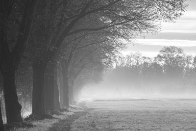 Workshop Rund um den Fotogipfel