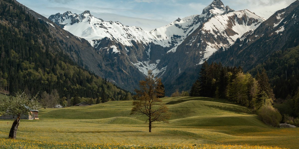 Frühling -Spielmannsau - Oberstdorf-9