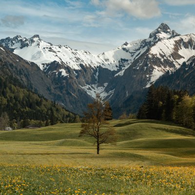 Frühling -Spielmannsau - Oberstdorf-9