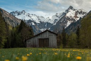 Frühling -Spielmannsau - Oberstdorf-13
