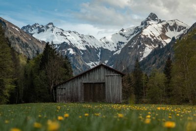 Frühling -Spielmannsau - Oberstdorf-13