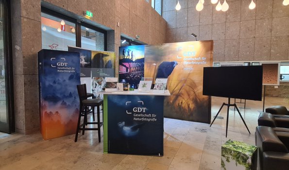 GDT Stand