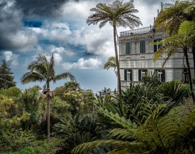 Madeira