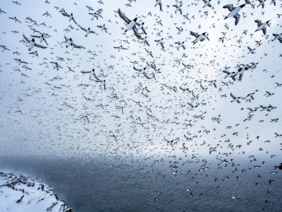 Viel los in der Luft