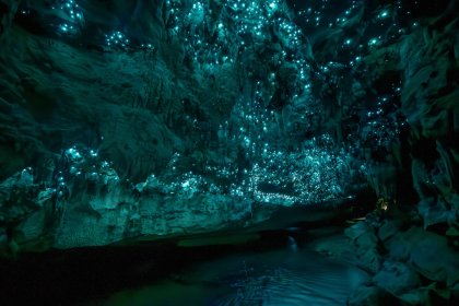 Glühwürmchen in der Waipu Höhle in Neuseeland