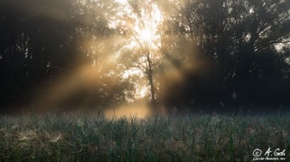 Naturfotografie, Andreas Geh
