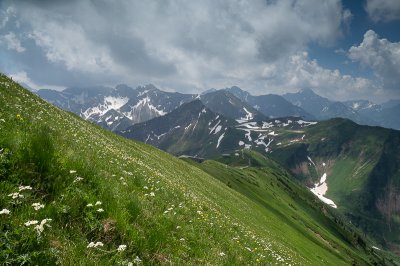 Andreas Geh - Naturfotografie (4)